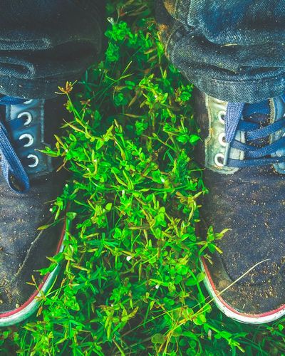 Close-up of a person's feet in comfortable sneakers on a yoga mat.